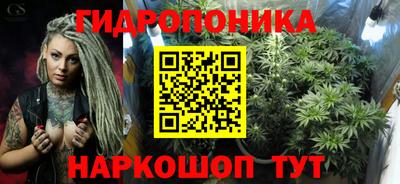 шишки Будённовск
