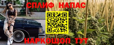 шишки Будённовск