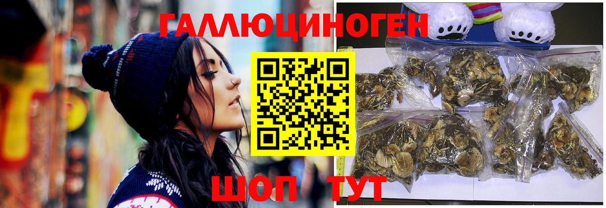 Псилоцибиновые грибы MAGIC MUSHROOMS Калининград